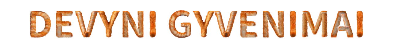 9 GYVENIMAI LOGO KAILIS